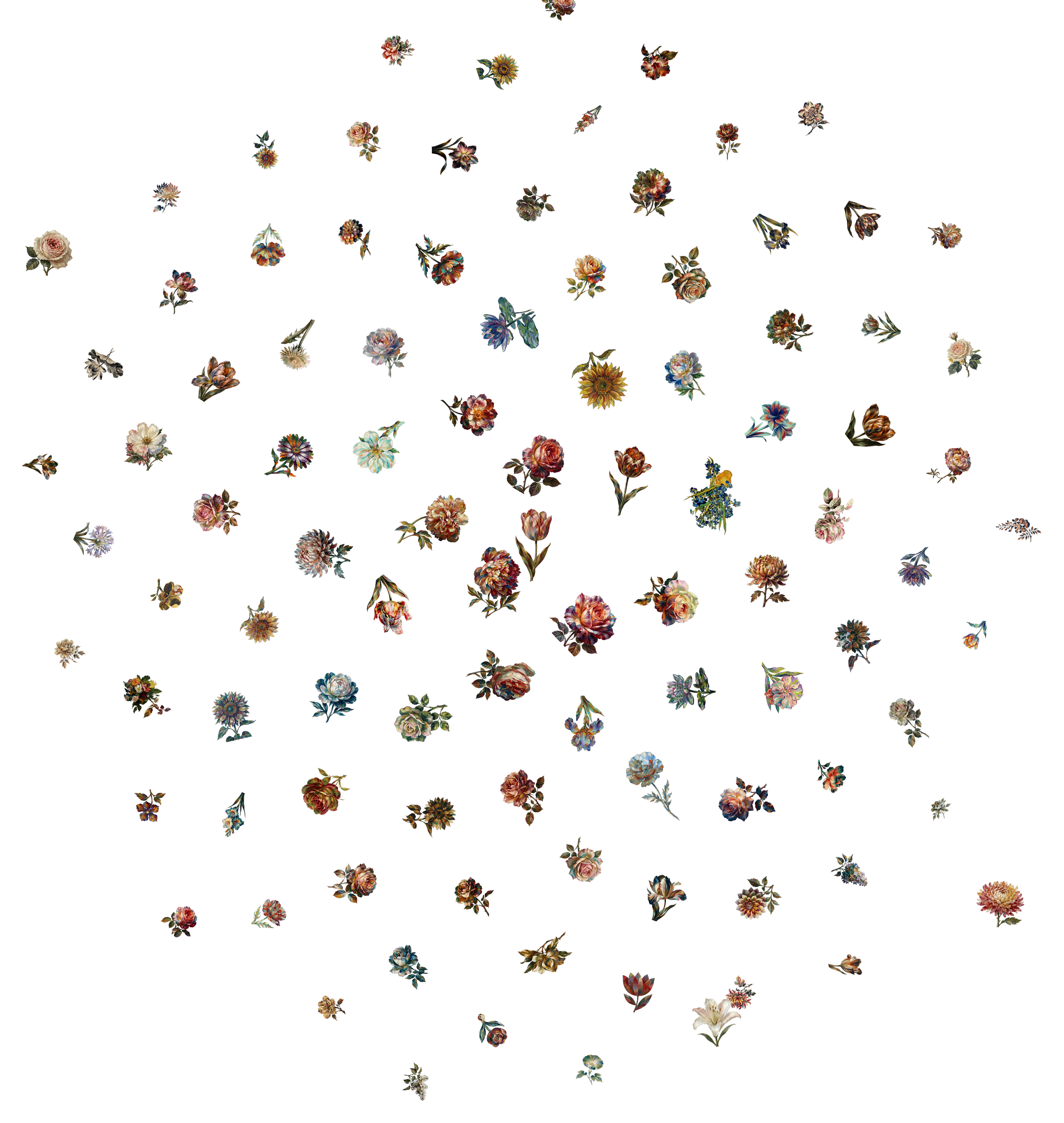 Bouquet